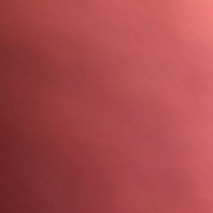 Meet your Posher, Princess